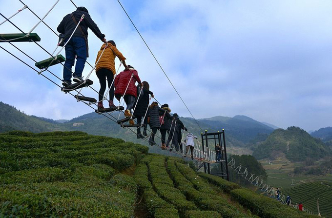 Lối đi bộ trên không ngắm đồi chè ở Trung Quốc