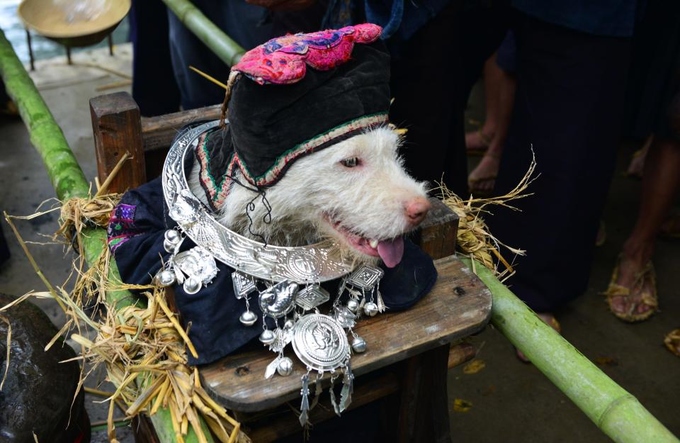 Lễ hội kiệu chó của dân tộc Miao