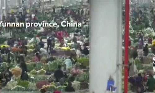 Bên trong chợ hoa tươi lớn nhất châu Á