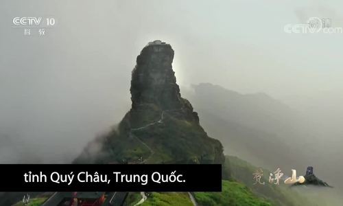 Dãy núi bảo tồn 2.000 động thực vật quý hiếm ở Trung Quốc