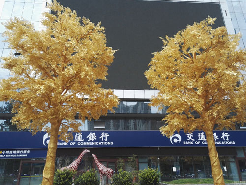 Hàng cây dát vàng trên phố ở Trung Quốc