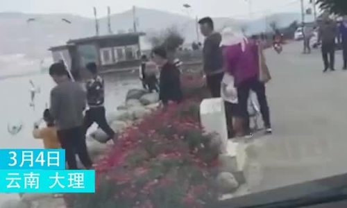 Kết đắng của khách Trung Quốc nghe lời trẻ con đánh chim