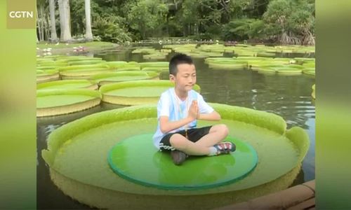 Khách Trung Quốc đổ xô vào vườn thực vật, ngồi lá sen khổng lồ