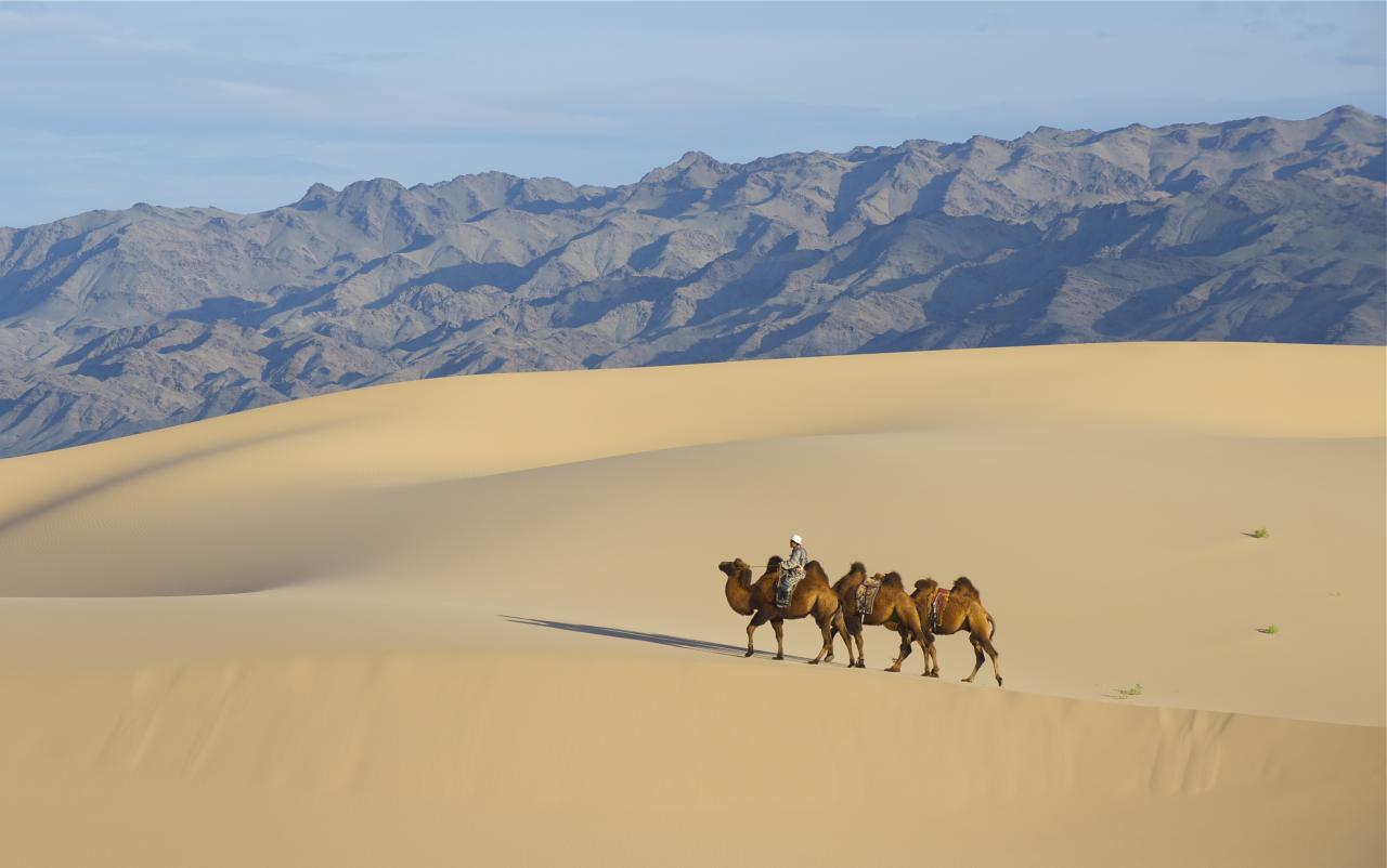 Cam Túc - Điểm đến đẹp khó cưỡng trên miền sa mạc
