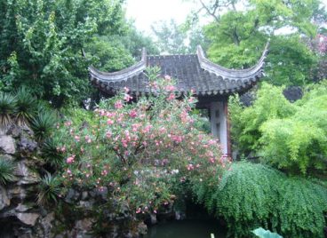 Vườn cây Tô Châu – Bức tranh thiên nhiên hữu tình