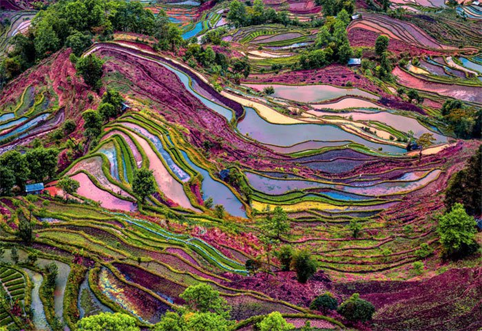 Bức tranh xinh đẹp của ruộng bậc thang Hani Hồng Hà ở Trung Quốc