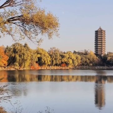 Mùa thu tại Yến Viên thuộc khuôn viên Đại học Bắc Kinh